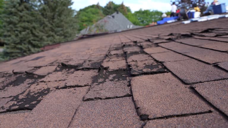 Best Solar Panel Roofing Installation  in Elkland, PA